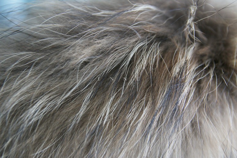 f4e2e2a089938c5358b43d1bbbb96371_1671426775_0931.jpg f4e2e2a089938c5358b43d1bbbb96371_1671426775_0931.jpg