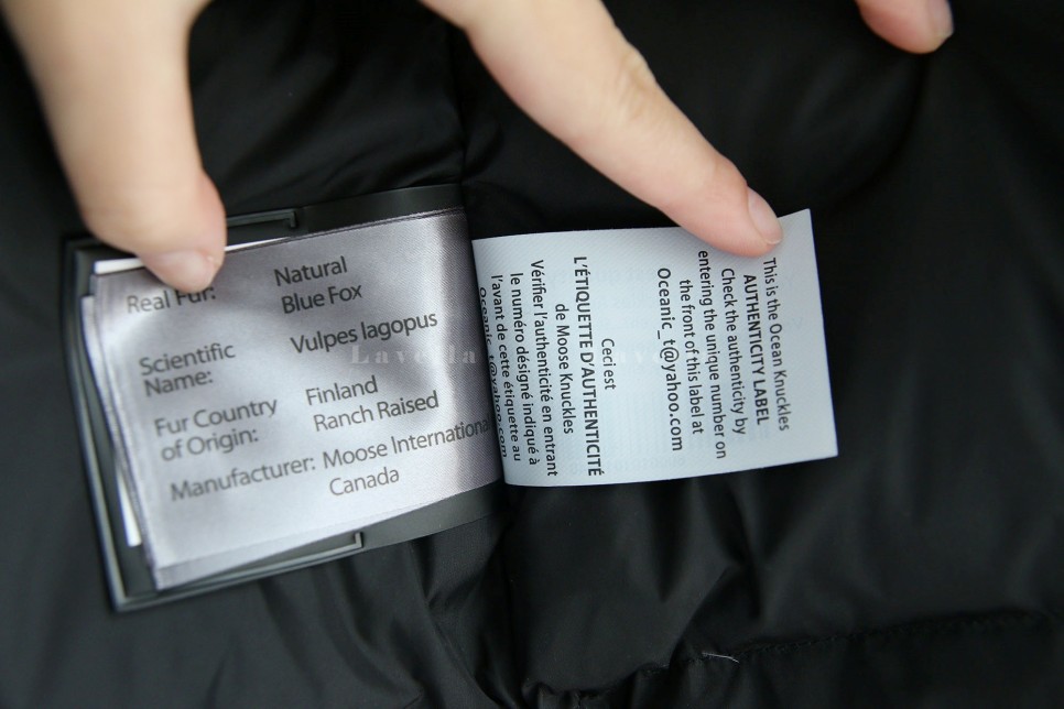 2a021013ff35563fa1f4c204cd355e83_1677110431_0637.jpg 2a021013ff35563fa1f4c204cd355e83_1677110431_0637.jpg