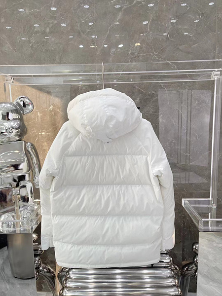 1698602669.1879qdaWDARvul6 10.jpg