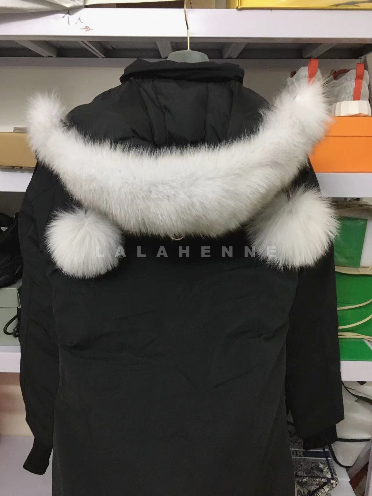 1699580465.9991OhiZCeMHHG311 6.jpg