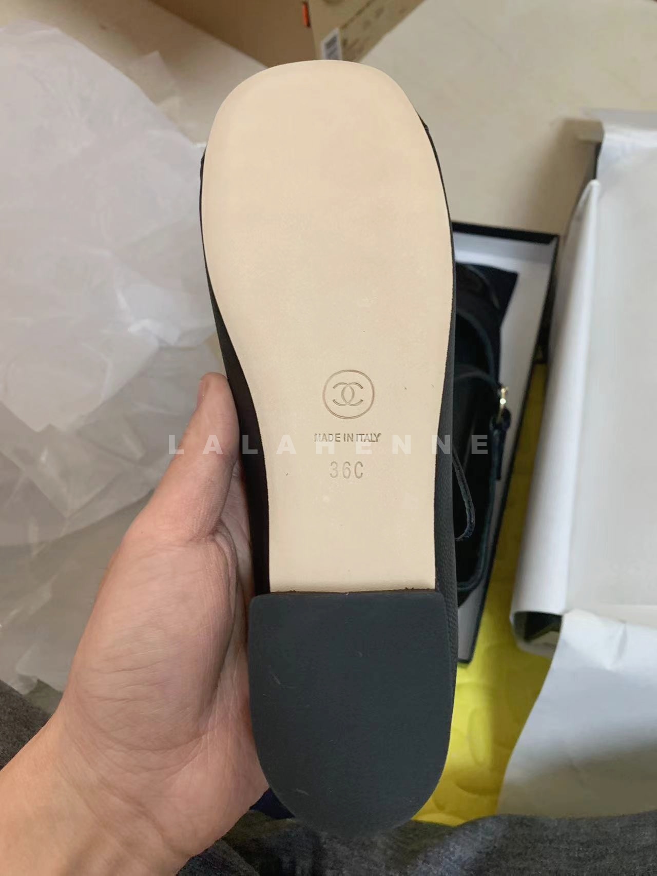 1699594629.242gEbrNOJkYv364 7.jpg