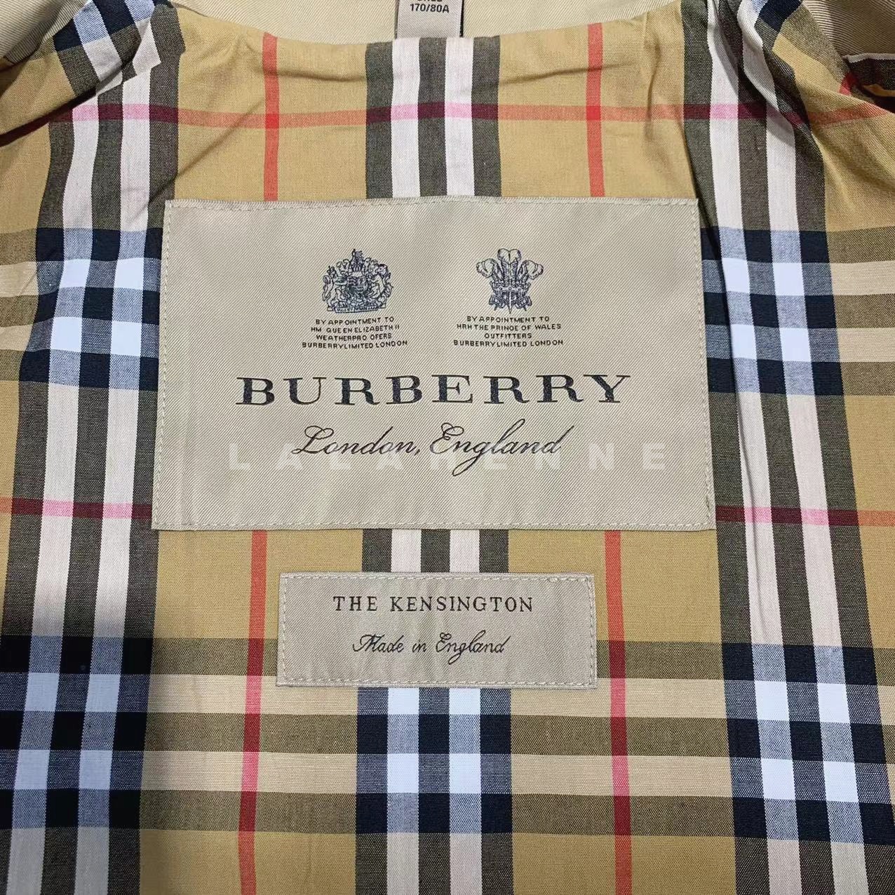 1699864088.5082nJzfuCutXh386 11.jpg