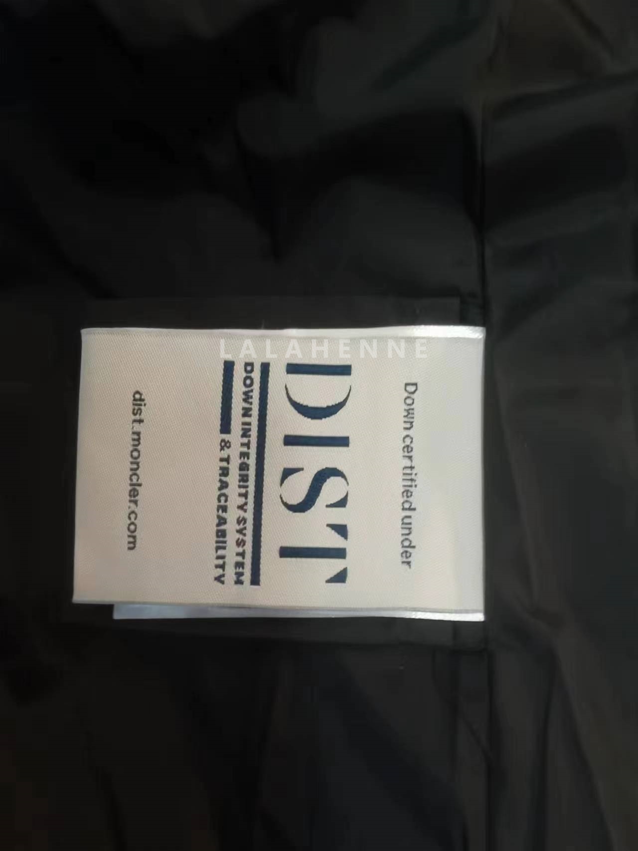 1702003886.8216DcaPWKSwbG50 1.jpg