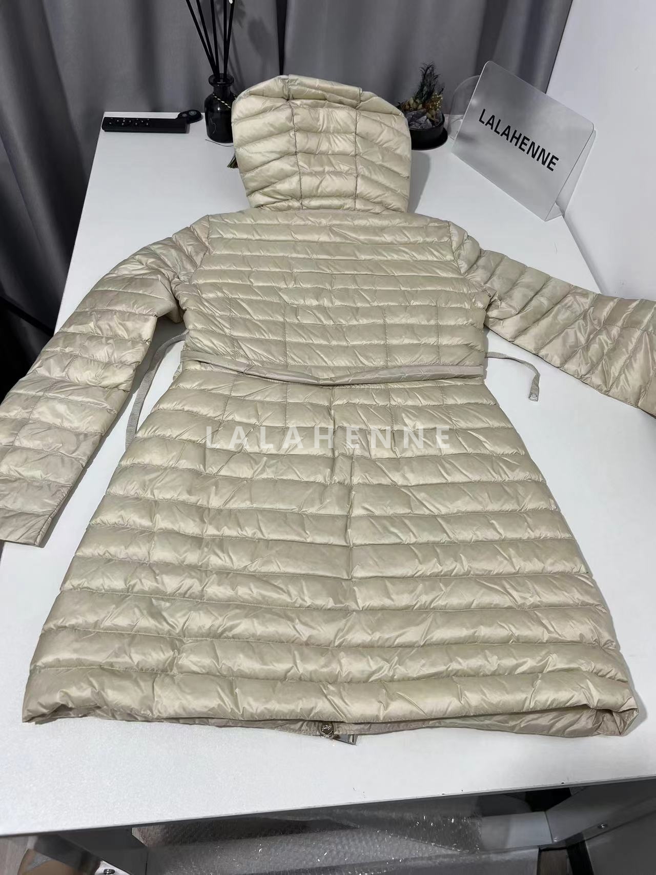 1702004455.4319IxZLahTHMM24 1 1.jpg