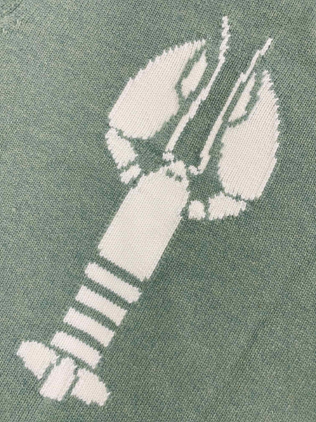 1703586911.0059VvWOpucQcm3 7.jpg