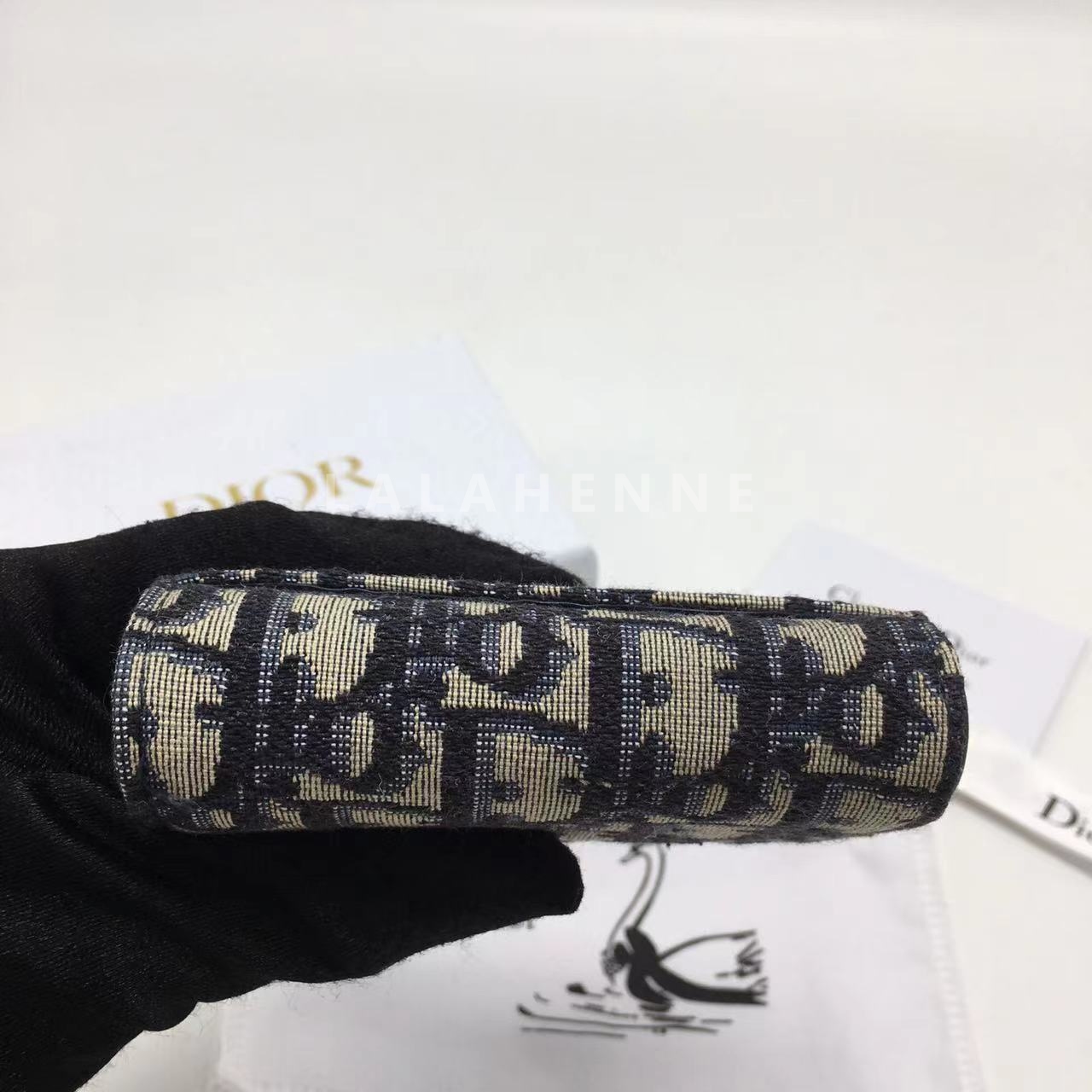 1704257478.2941vFReqdDalV 11.jpg