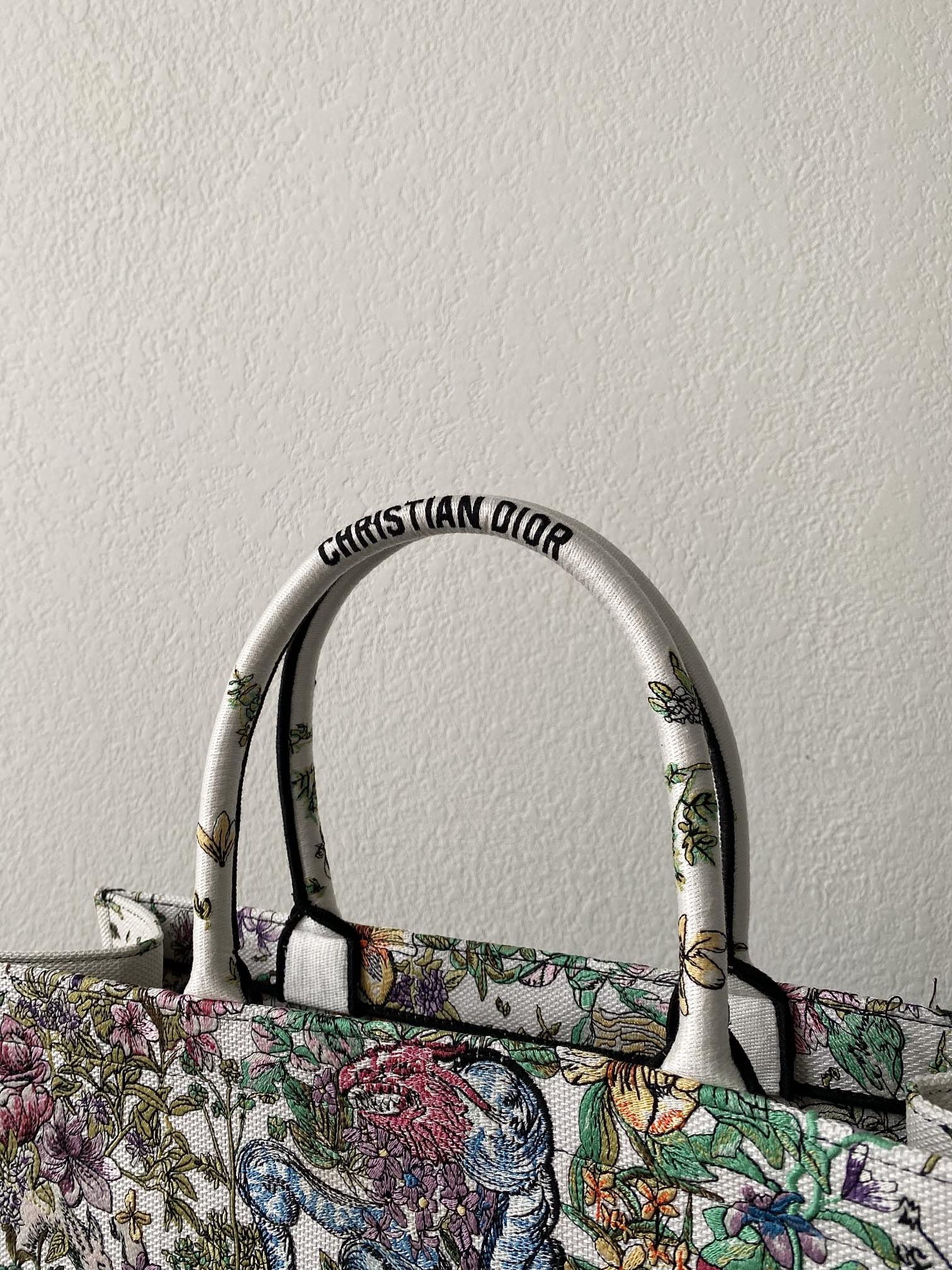 1704717314.9052FBpqtLXRcmDIOR BOOK TOTE M1286 11.jpg