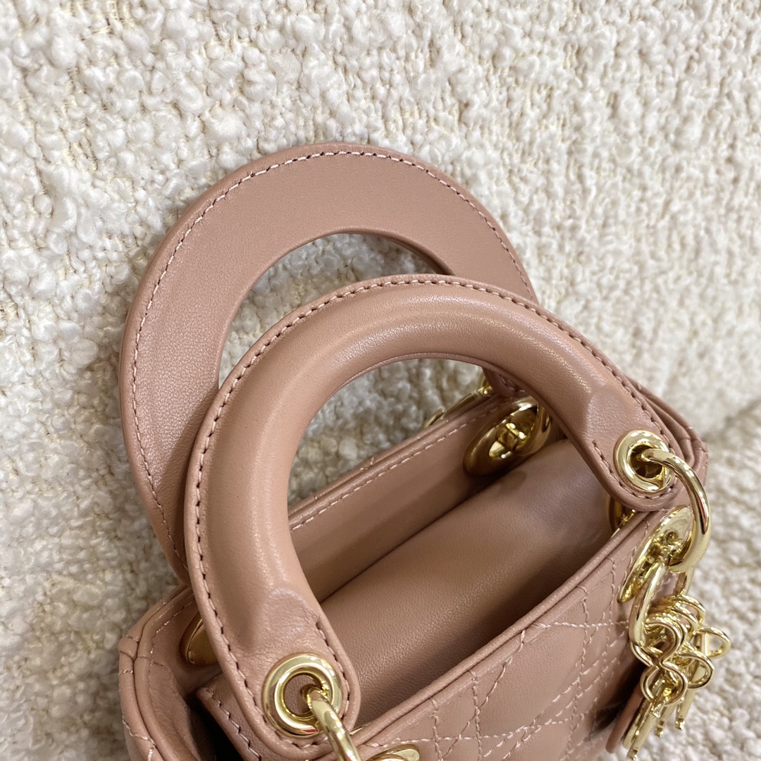 1704780100.6144XTXMQjJEqmMICRO LADY DIOR BAG  S0856ONGE_M49P 7.jpg