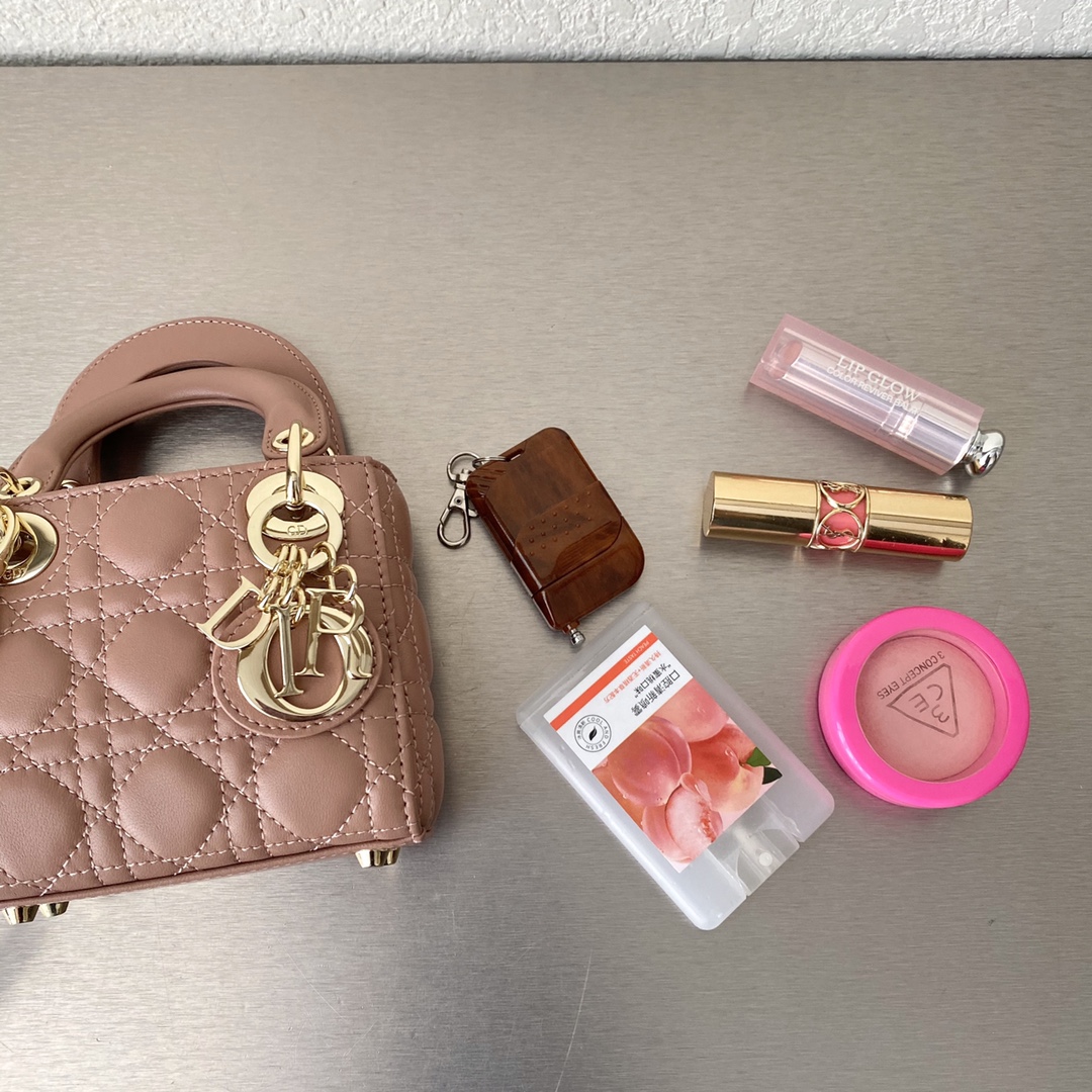 1704780100.6192OwIbwtpcvKMICRO LADY DIOR BAG  S0856ONGE_M49P.jpg