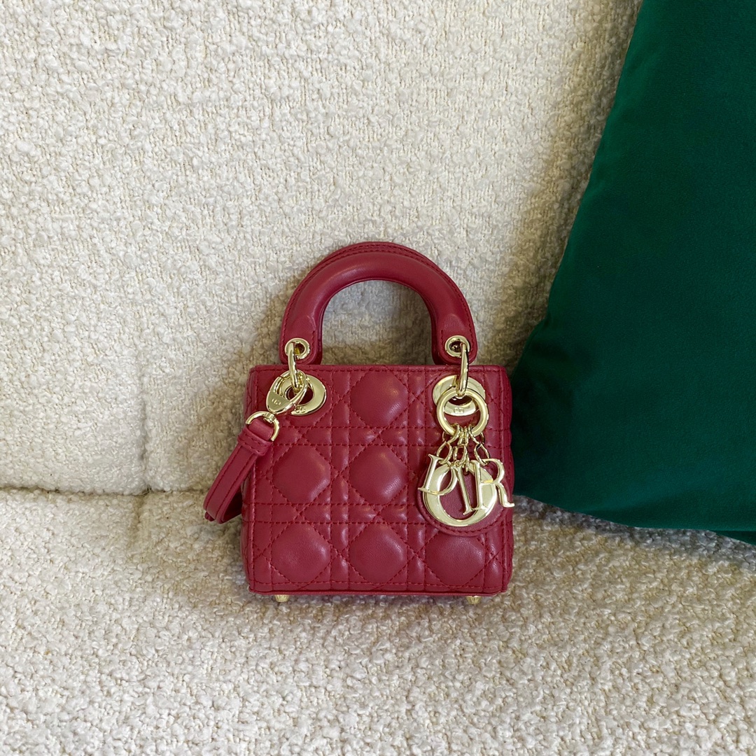 1704780220.456kCYlnUsZldMICRO LADY DIOR BAG  S0856ONGE_M57R 7.jpg