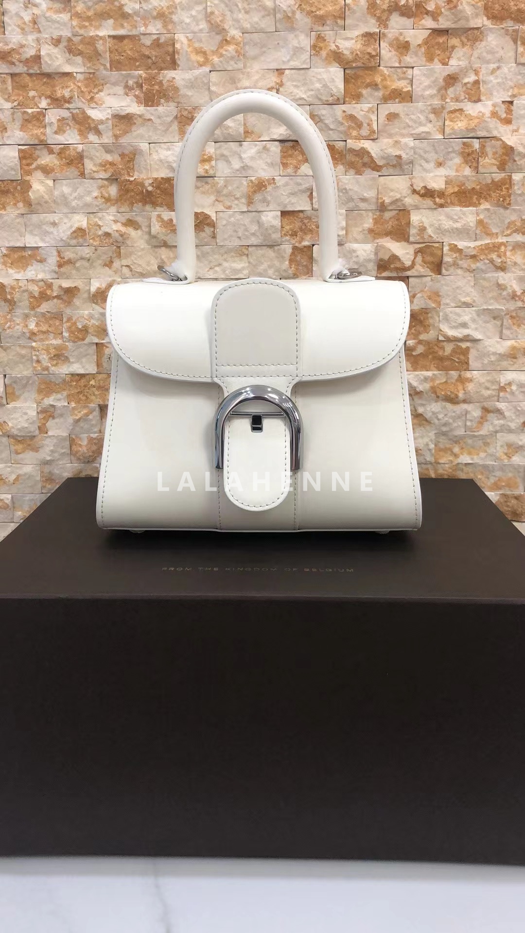 1705371171.8699zHKGrygRKx 5.jpg