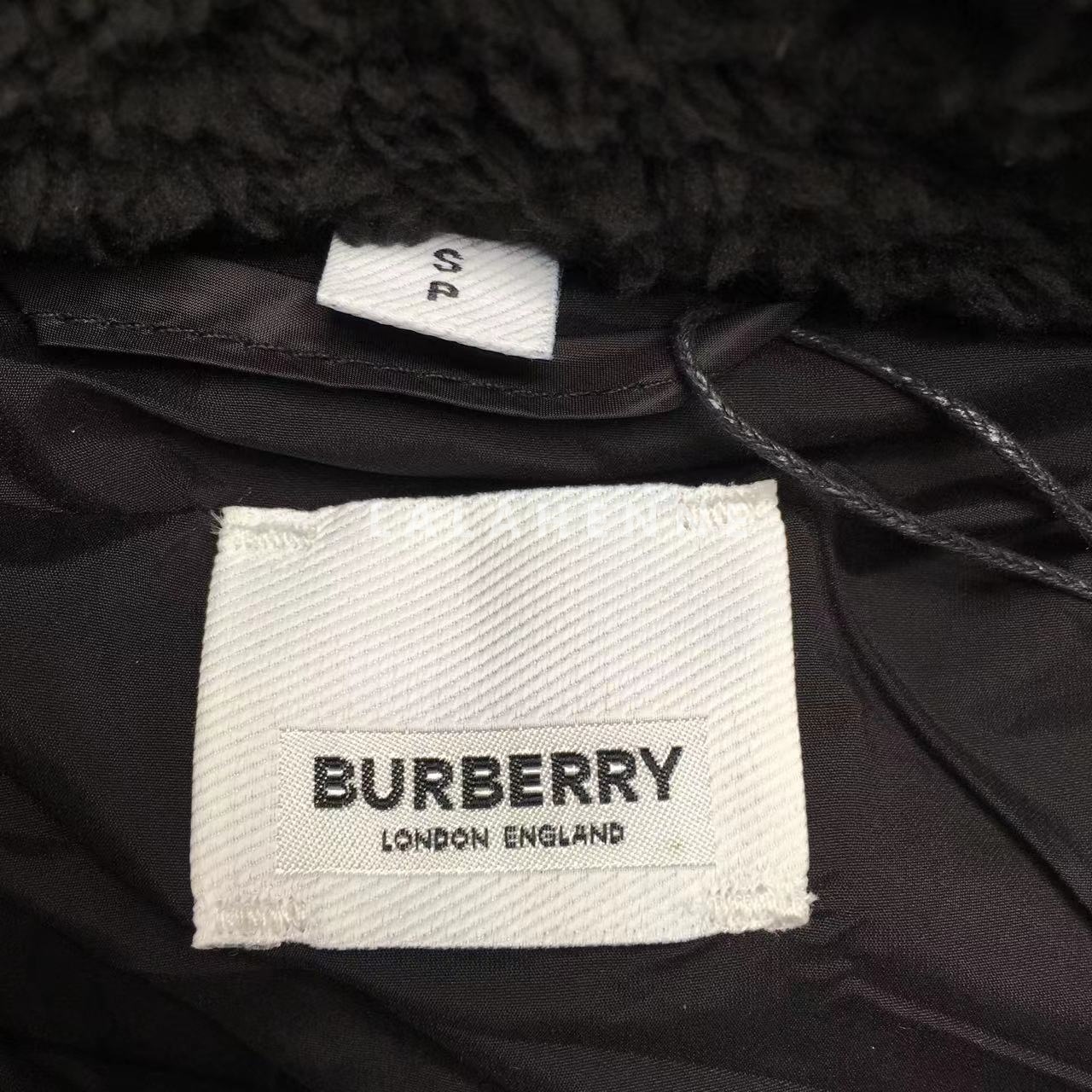 1705371419.2067ReUajltgBc   8.jpg