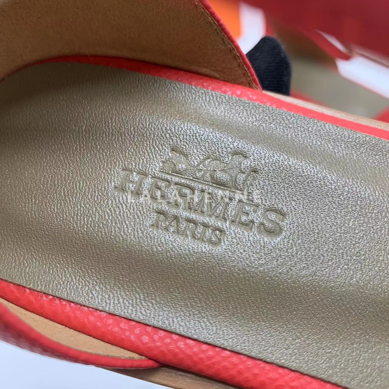 1705995615.5926mwVYigZYmt  1.jpg