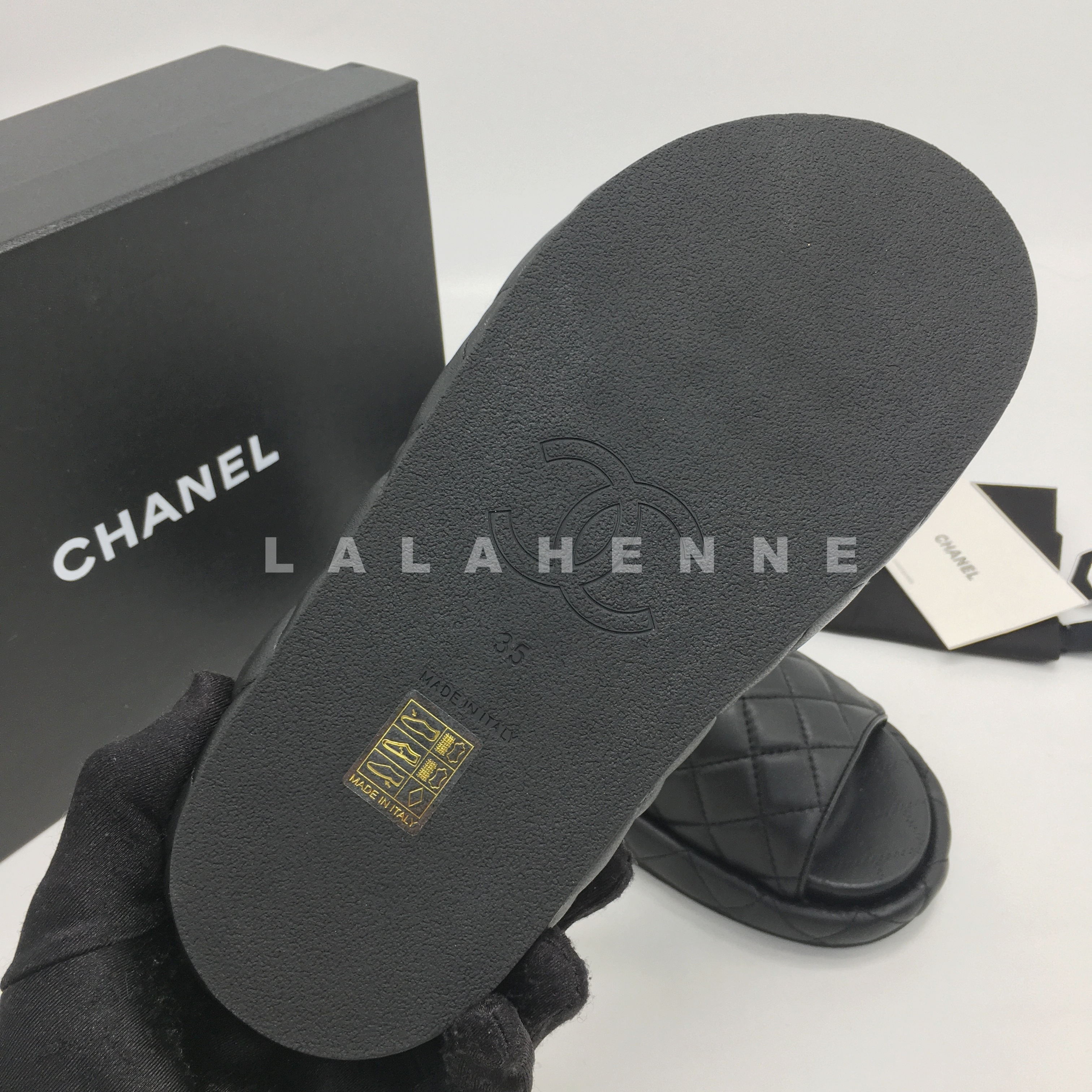 1710911803.0803emPNPrnnix 4.jpg