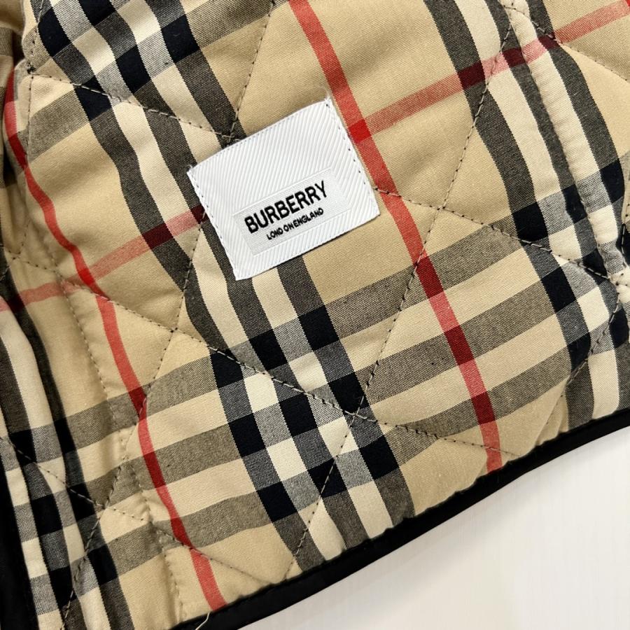 1723542345.775IpQorIgntB3 158 4.jpg