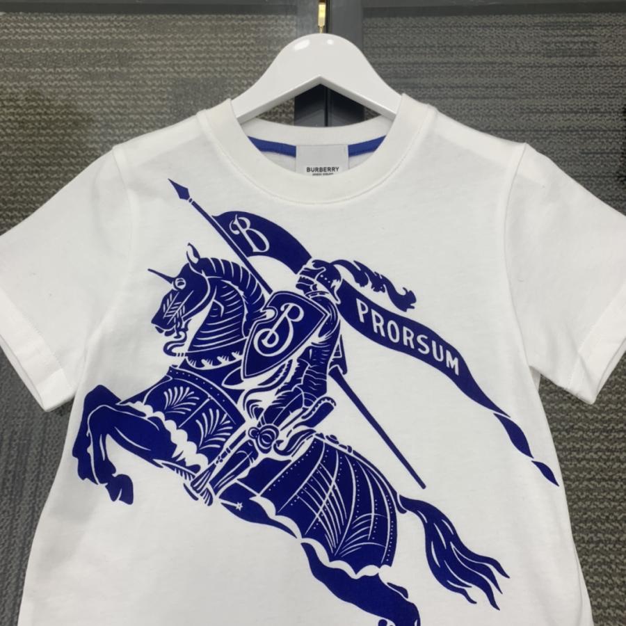 1723542662.0274hIoZSbPQOn10 138 2.jpg