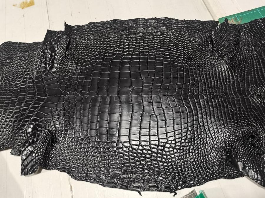 1744048253.5589IVVpsalfkN6 6.jpg