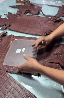 1744048452.6324DyxYwXDiRA5 1.gif