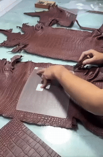 1744048452.6364BdlYnUyklc5 3.gif