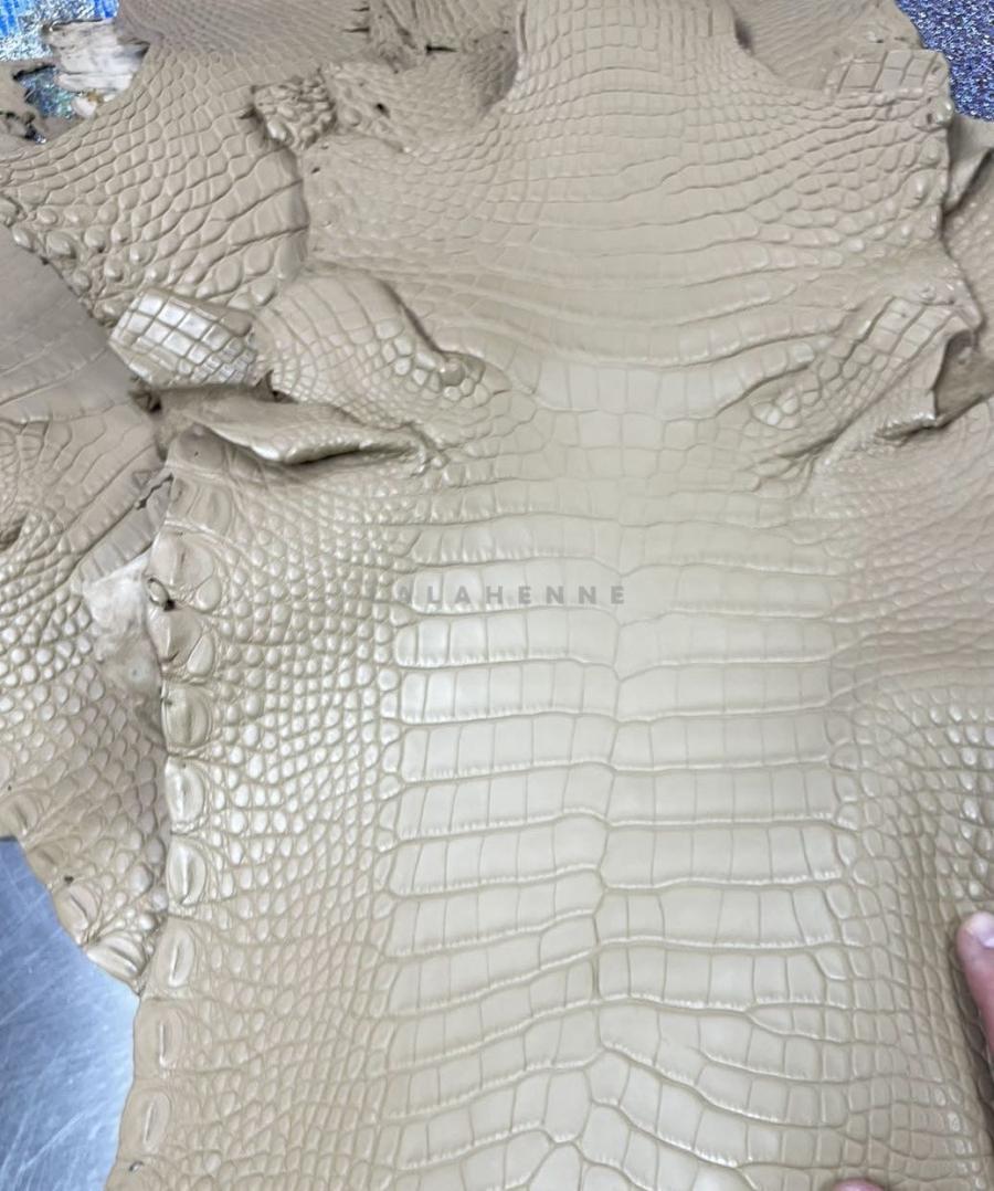 1744049756.9611IJSlfTFKrq13 6.jpg