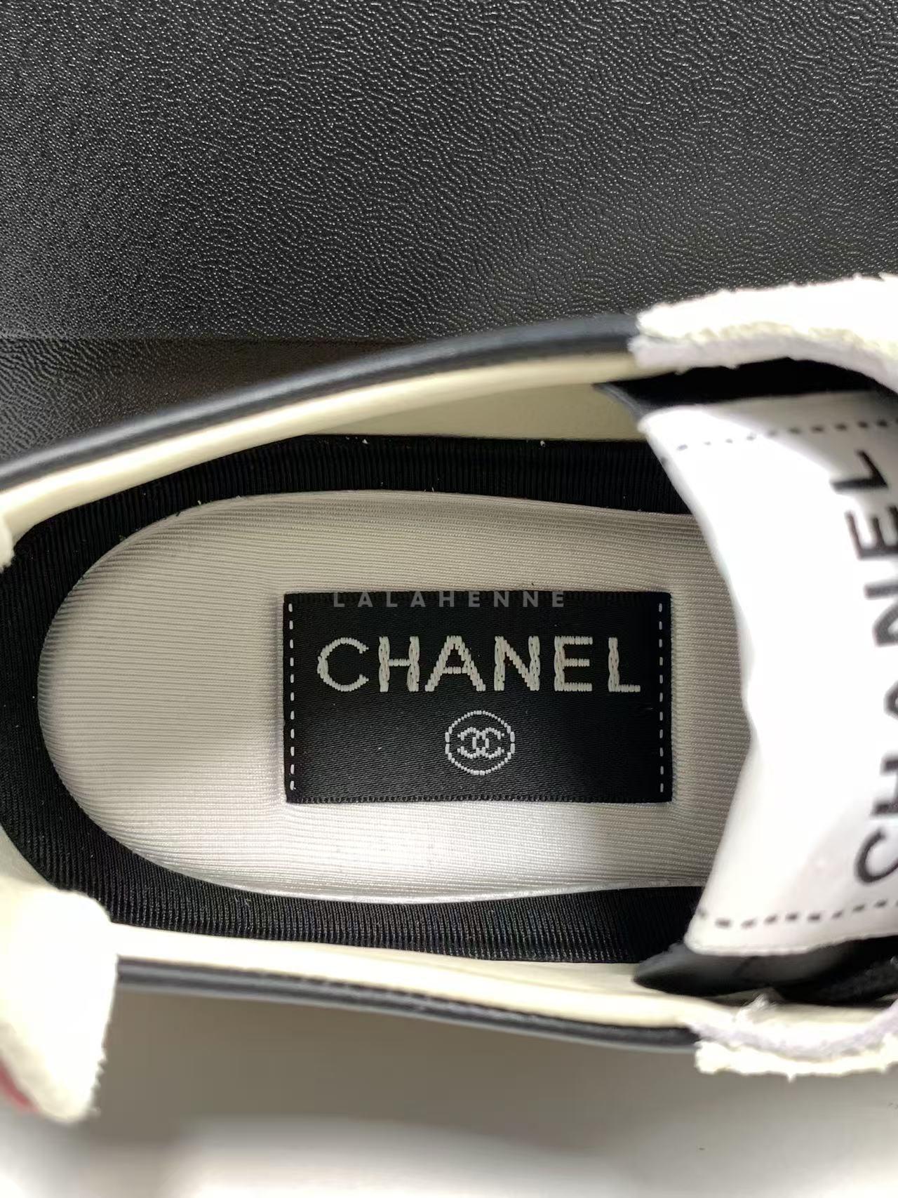 1774265337.7304uITZjFAXsp 1.jpg