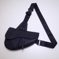 디올 새들백 Dior Pre-Fall Saddle Bag 20cm