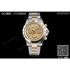 롤렉스 데이토나 (골드 판)116503