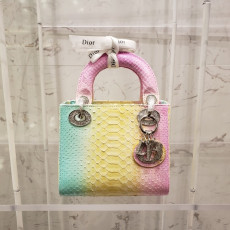 디올 파이톤 레이디백 미니 17cm