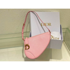 디올 Saddle 숄더 파우치