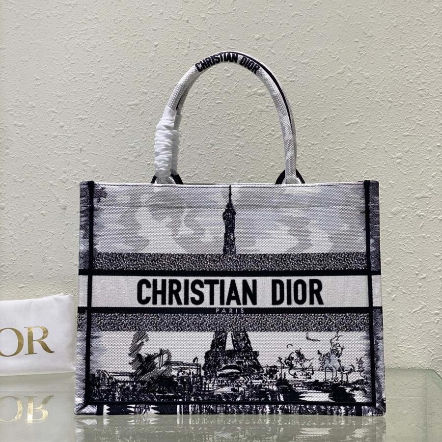 디올 캔버스 북토트백 스몰