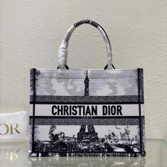 디올 캔버스 북토트백 스몰