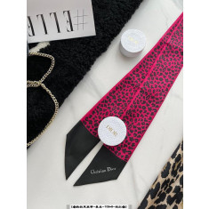 디올 미차 트윌리 방도