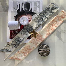 디올 미차 트윌리 방도