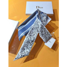 디올 미차 트윌리 방도