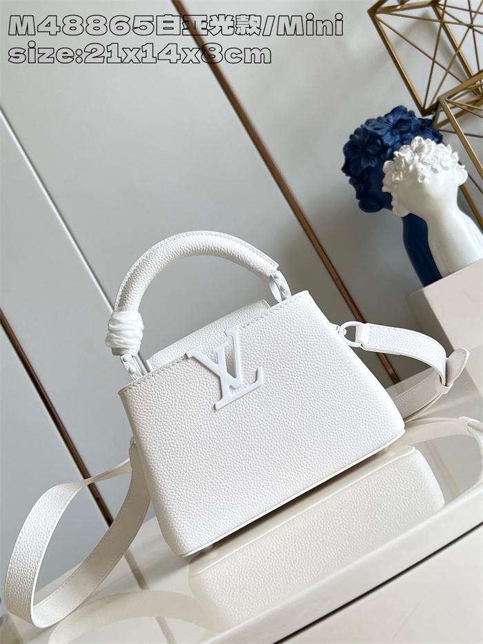 루이비통 카퓌신 미니 M48865