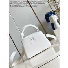 루이비통 카퓌신 미니 M48865