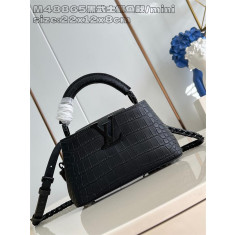 루이비통 카퓌신 미니