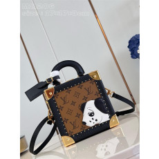 루이비통 트렁크 미니 케이스백