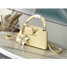 루이비통 카퓌신 미니 22cm