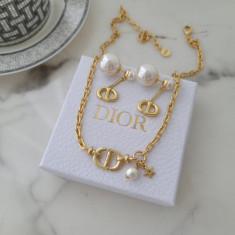 디올 트리바이 목걸이/귀걸이