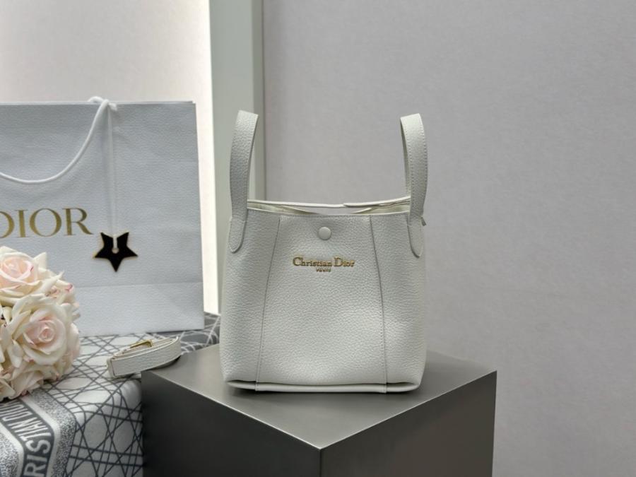 디올 시그니처 백