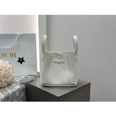 디올 시그니처 백