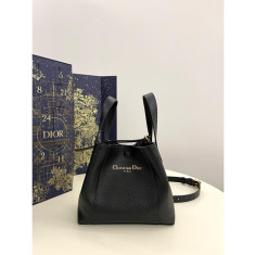 디올 시그니처 백