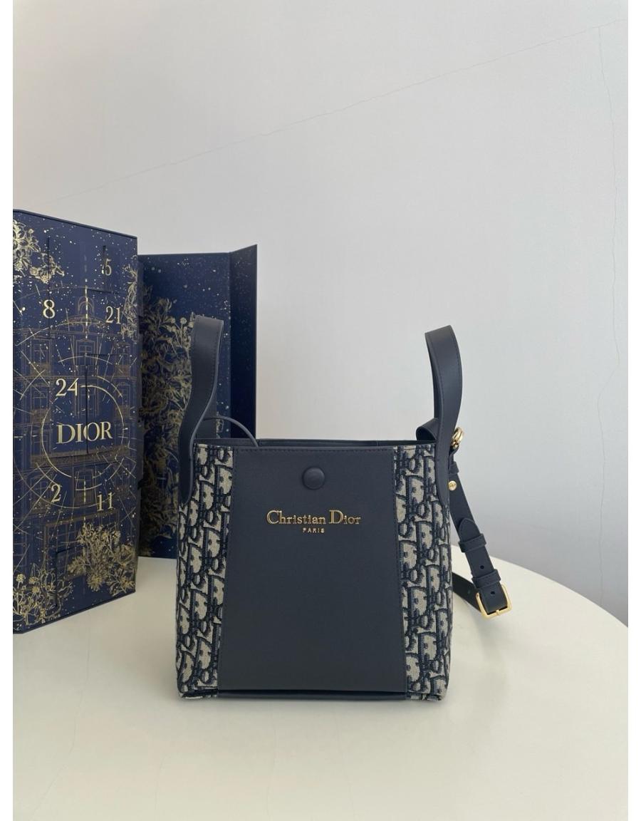 디올 시그니처 백