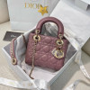 디올 레이디백 미니