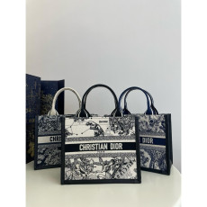 디올 레더 북토트백 스몰