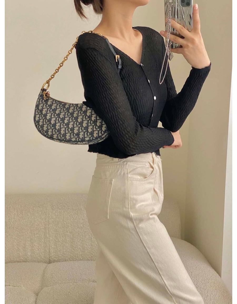 디올 오블리크 라운지 백