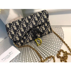 디올 오블리크 새들 지갑 체인백 (국내배송)