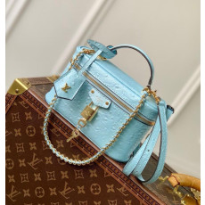 루이비통 N85911 베니티 체인 파우치