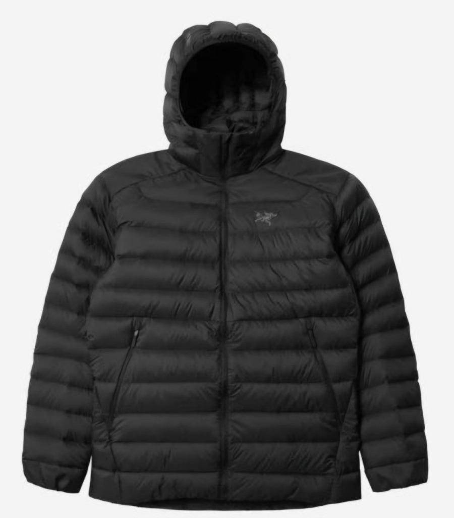 아크테릭스 남성 세륨 후디 구스 경량패딩 (국내배송)